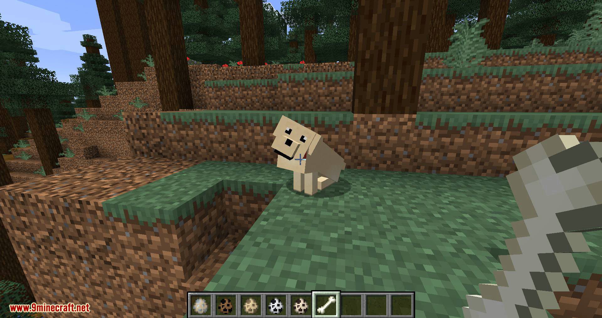 More Dogs mod for minecraft 10