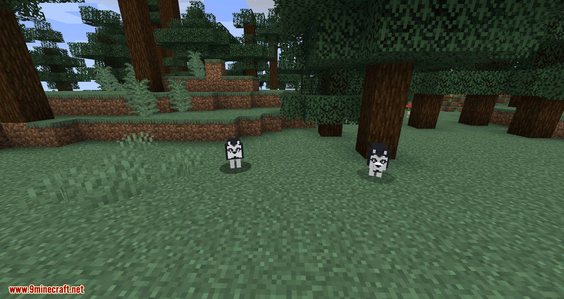 More Dogs mod for minecraft 12