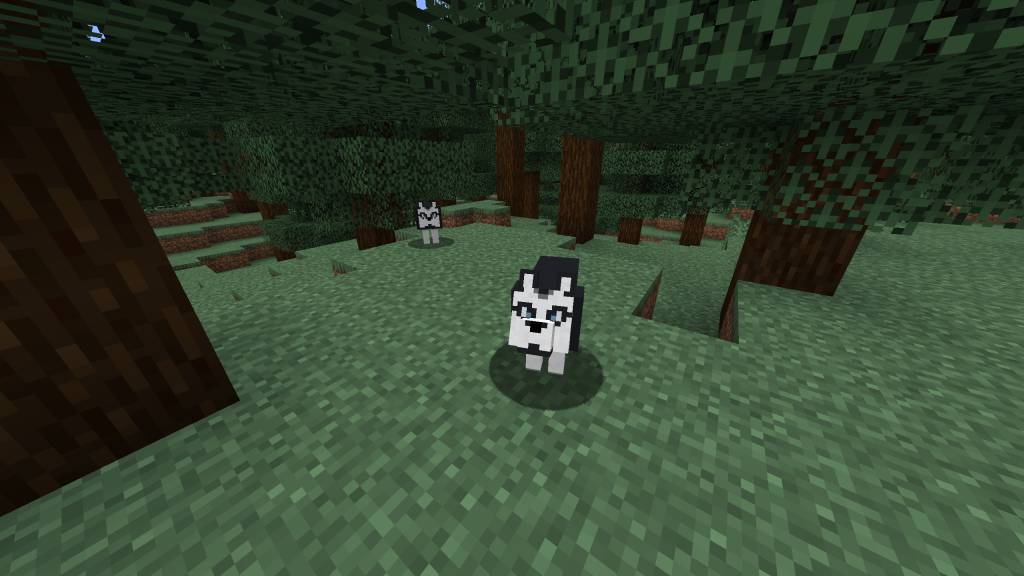 More Dogs mod for minecraft 24