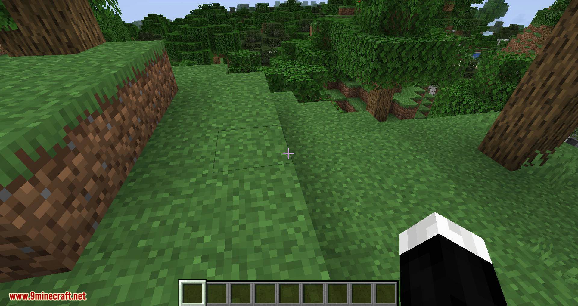 No Default Auto-Jump mod for minecraft 06