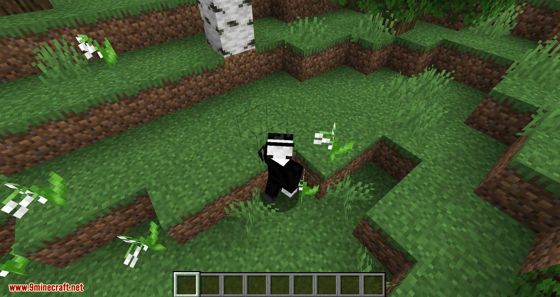 No Default Auto-Jump mod for minecraft 10