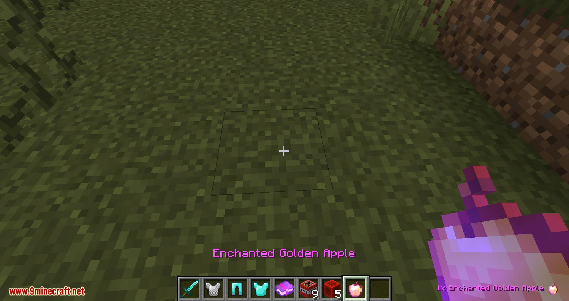 Pick Up Notifier mod for minecraft 04