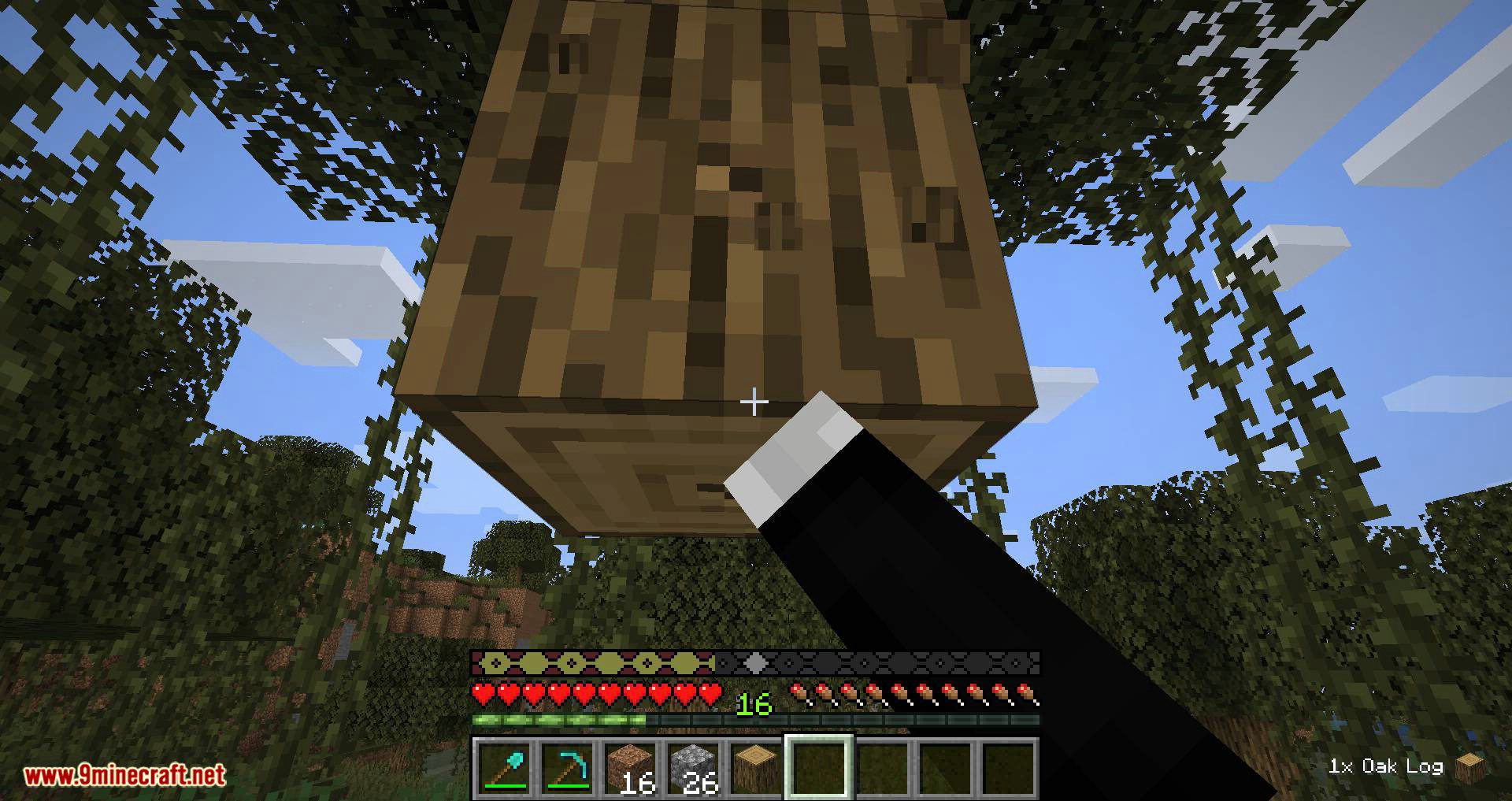 Pick Up Notifier mod for minecraft 10