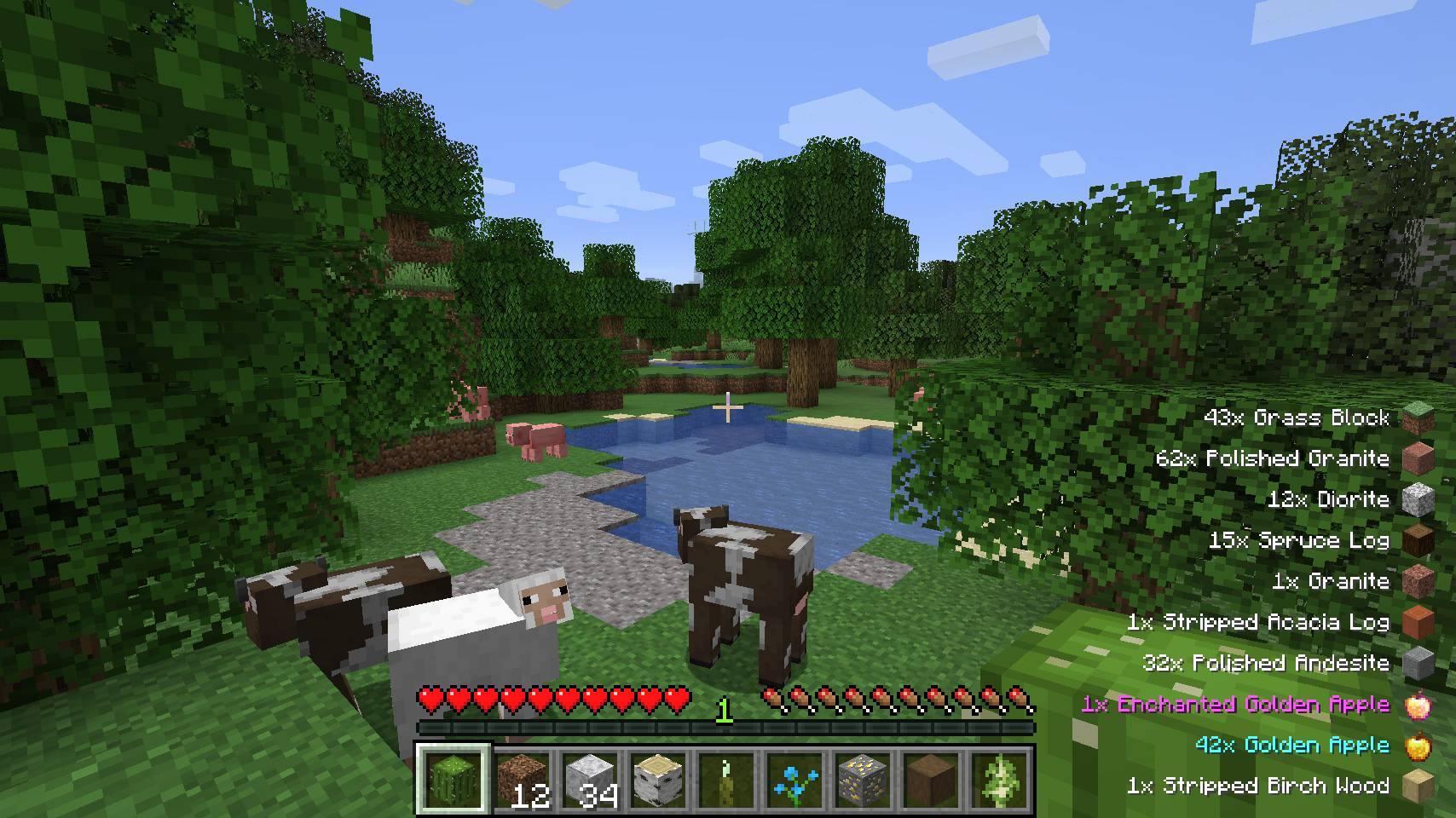 Pick Up Notifier mod for minecraft 21