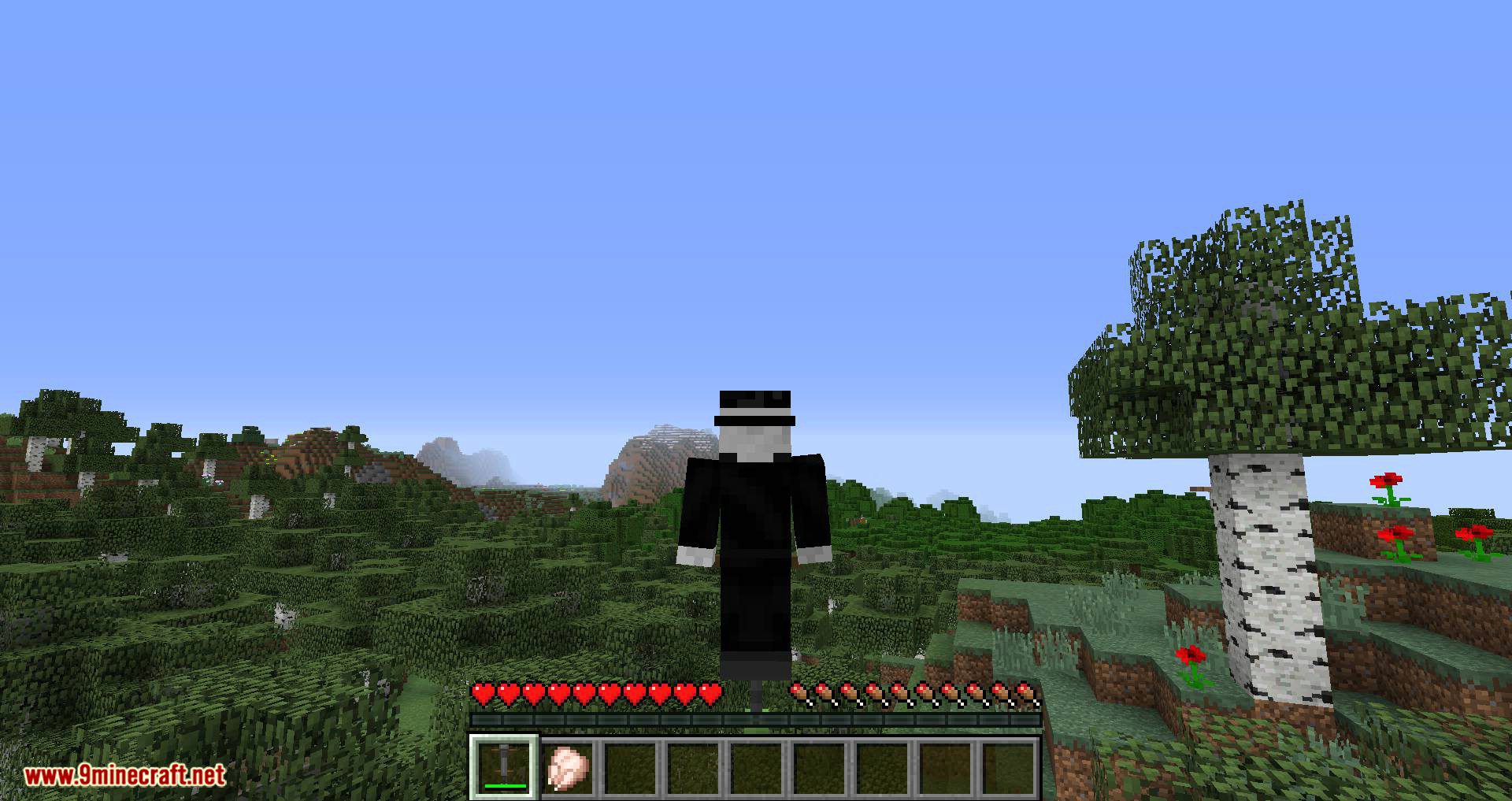 Pogo Sticks mod for minecraft 10