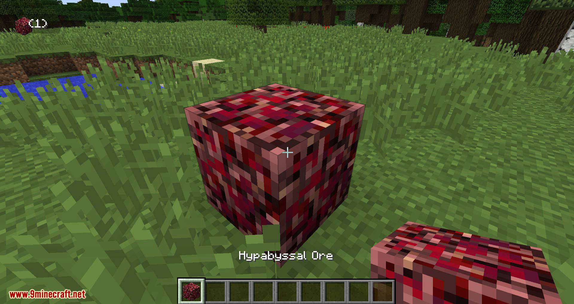 Pomarf_s Dimensional Ores mod for minecraft 03