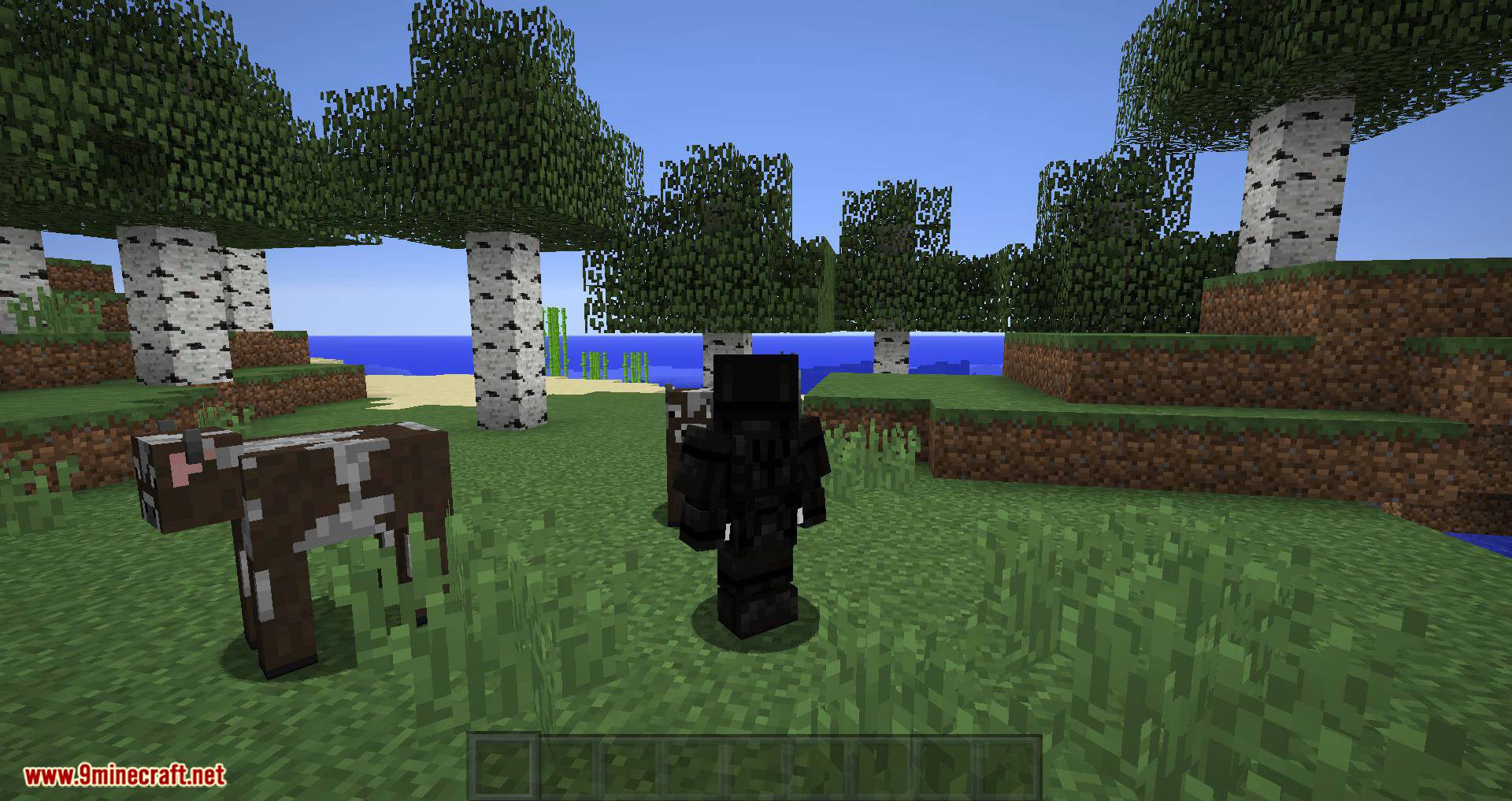 Random PSIdeas mod for minecraft 05