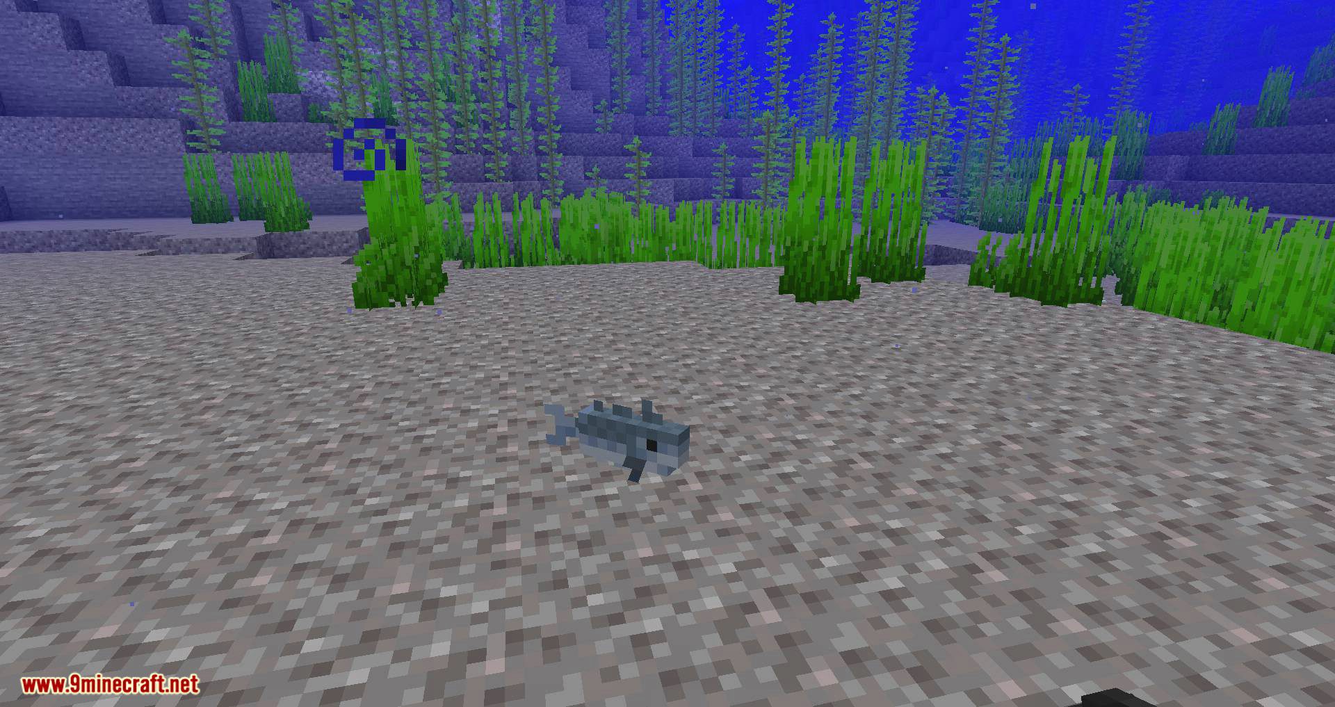 Seafaring mod for minecraft 02