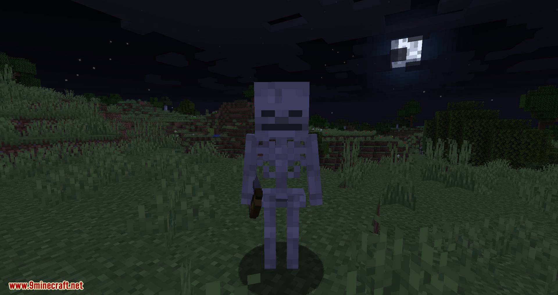 Stray Spawn mod for minecraft 03