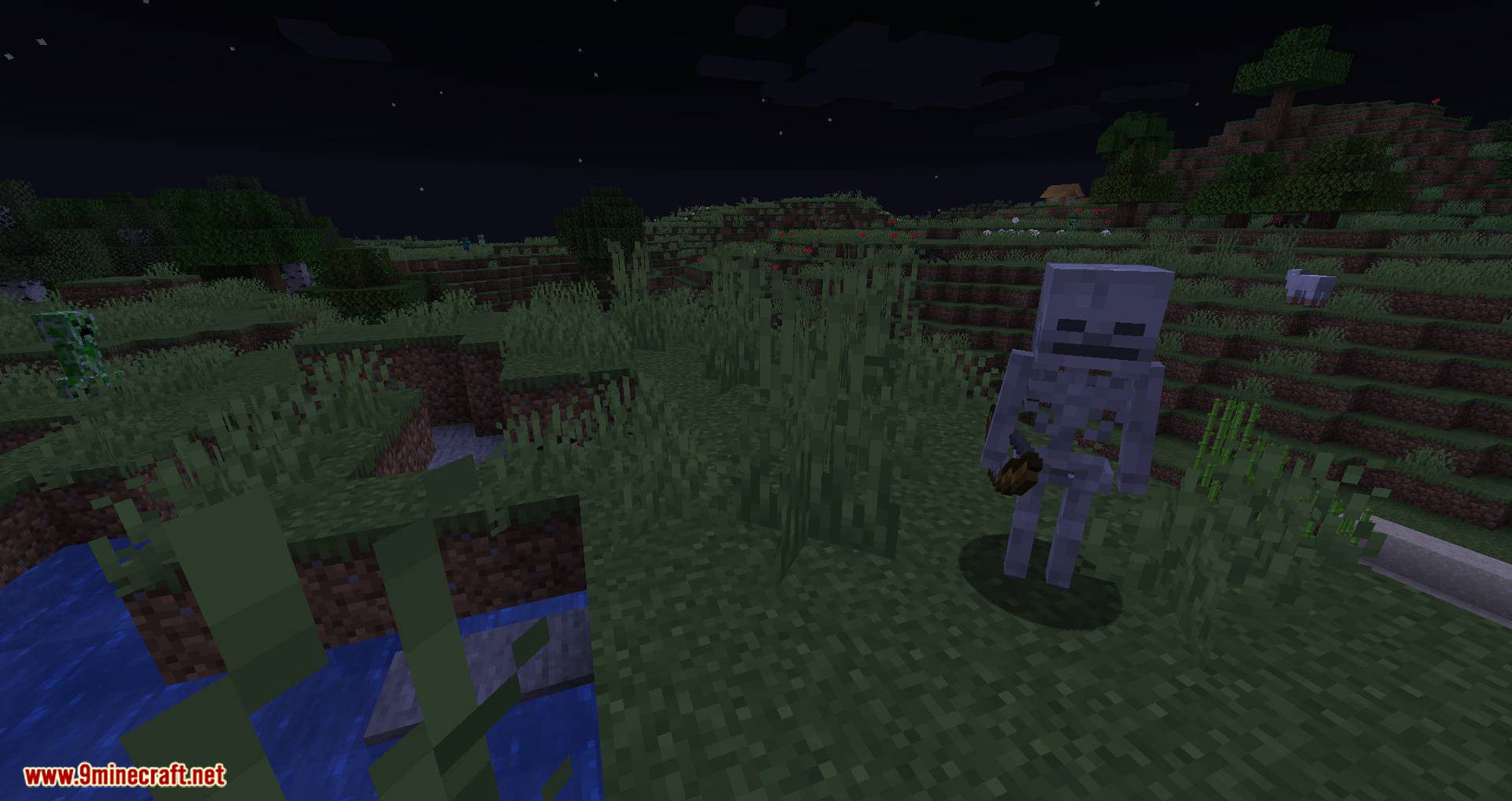 Stray Spawn mod for minecraft 04