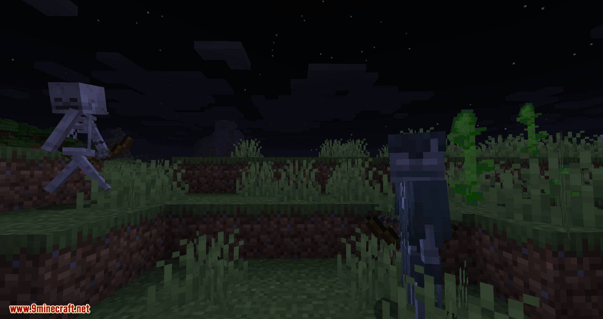 Stray Spawn mod for minecraft 09