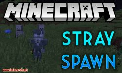 Stray Spawn mod for minecraft logo