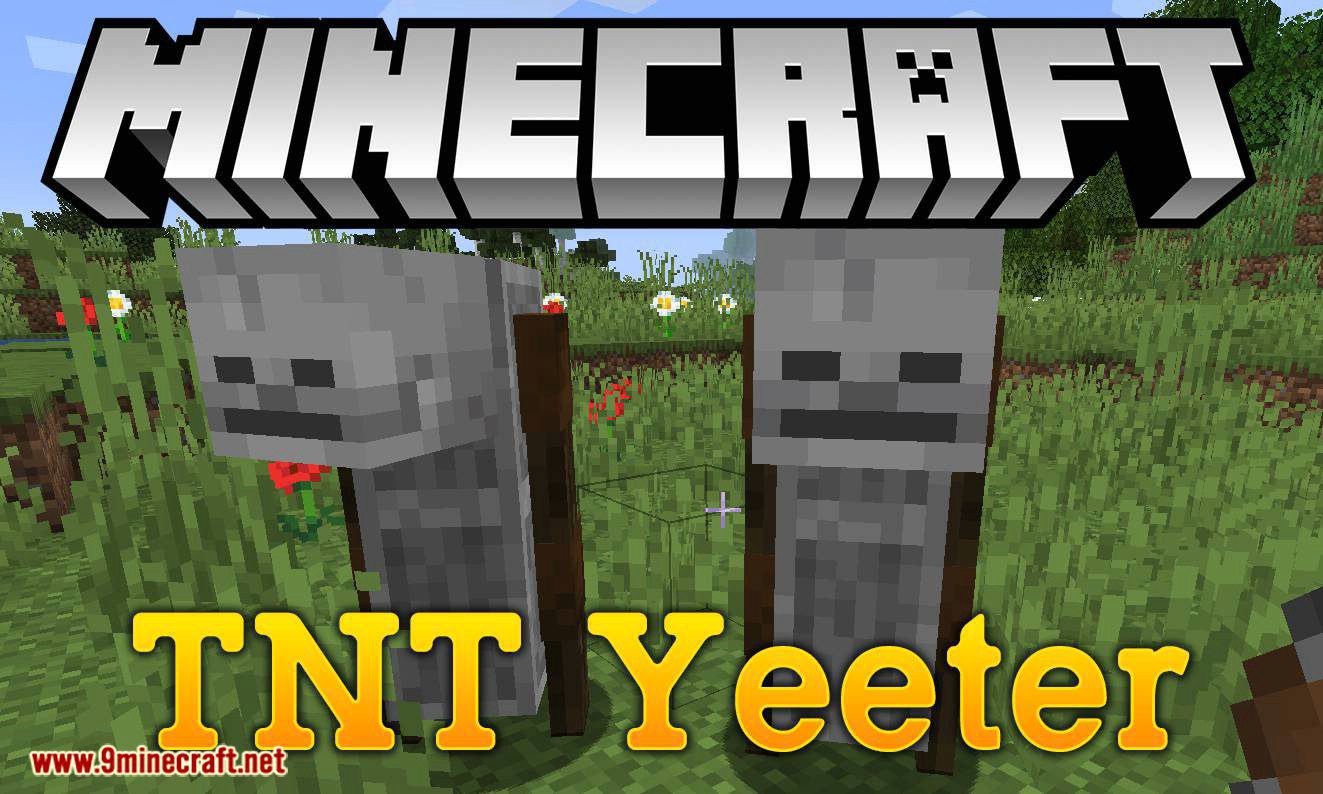 TNT Yeeter mod for minecraft logo