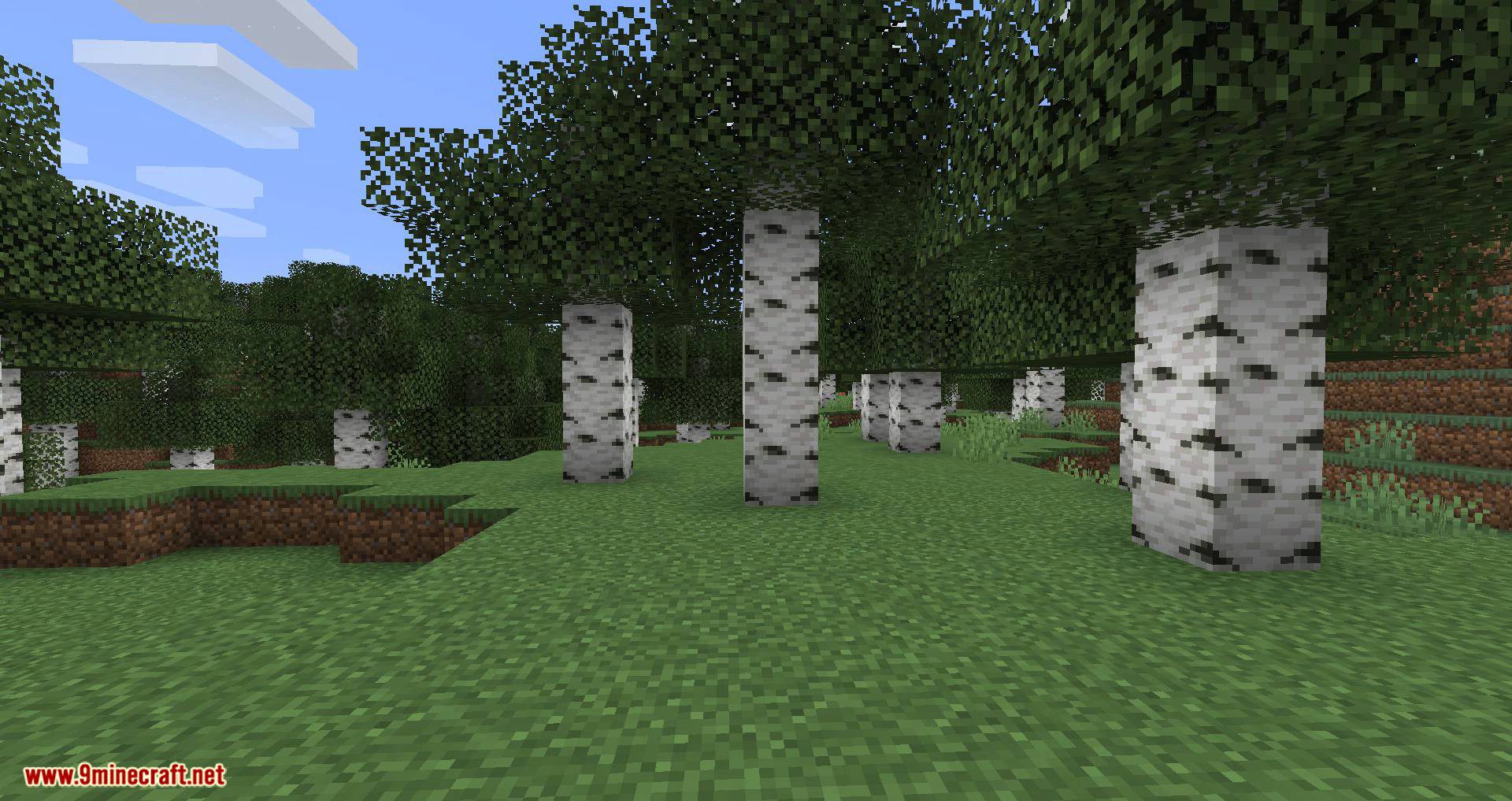 Tree Bark mod for minecraft 03