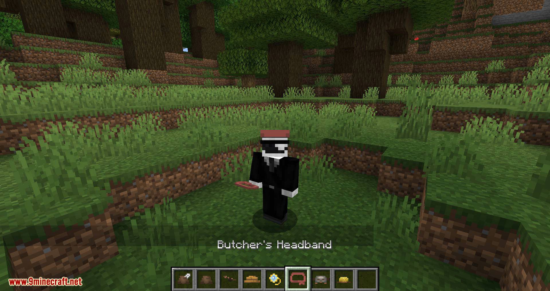 Villager Hats mod for minecraft 07