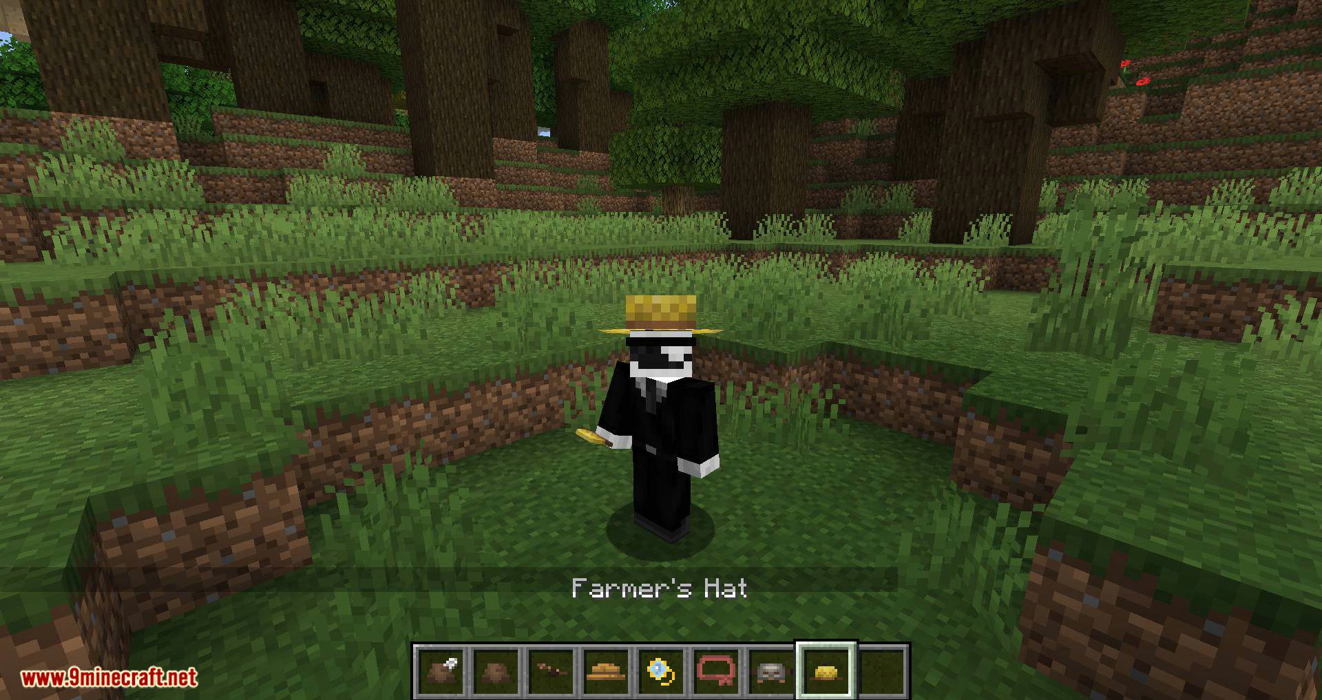 Villager Hats mod for minecraft 09