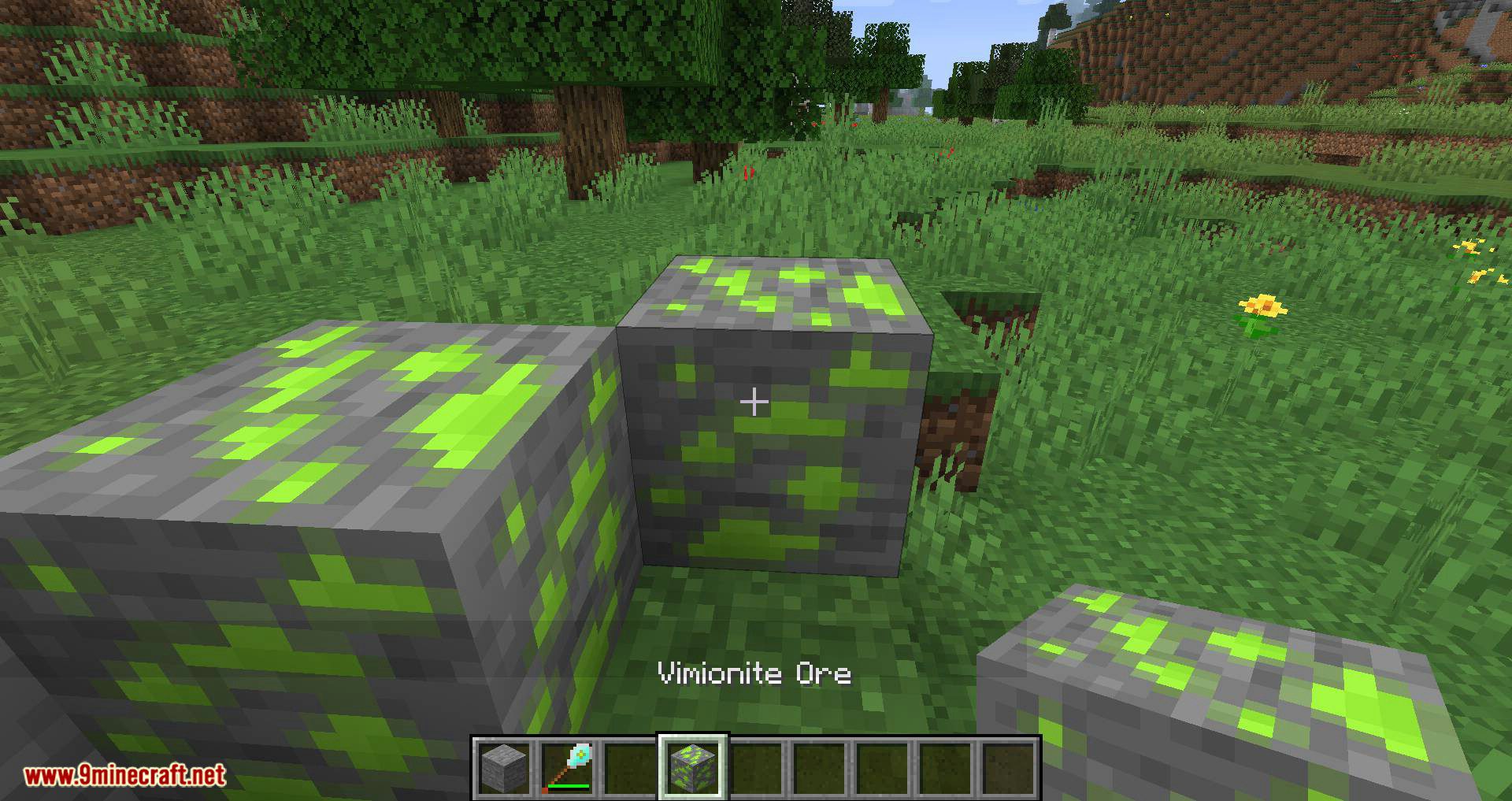 Vimion Mod for minecraft 07