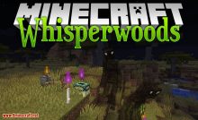 minecraft voxel map 1.8 no forge