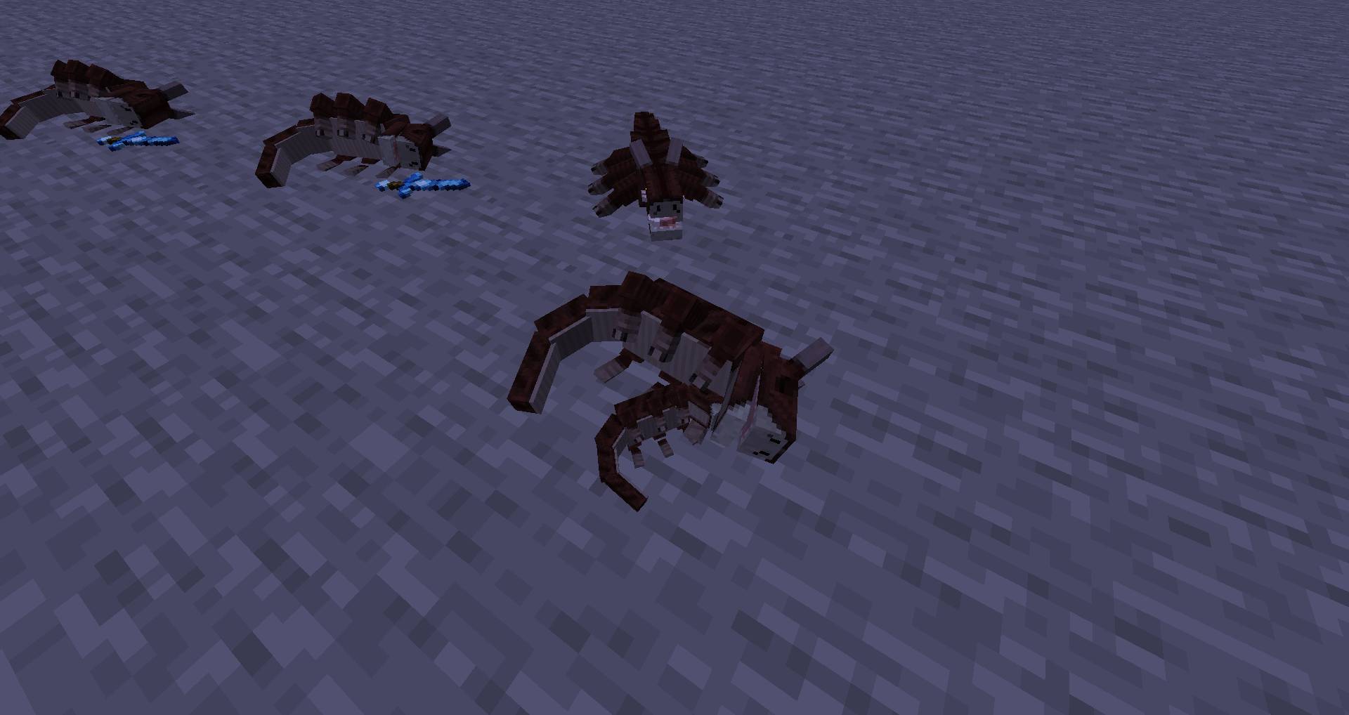 Wyrmroost mod for minecraft 27