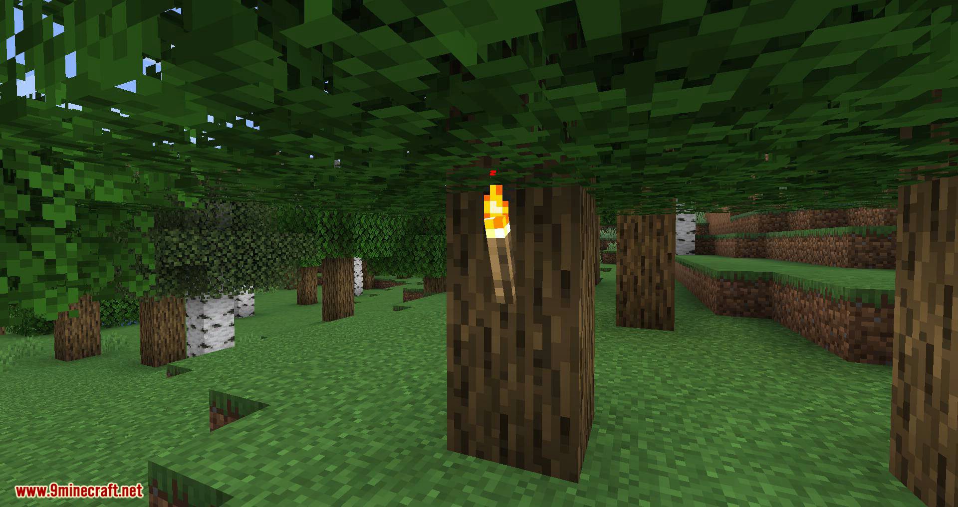 Campfire Torches mod for minecraft 02