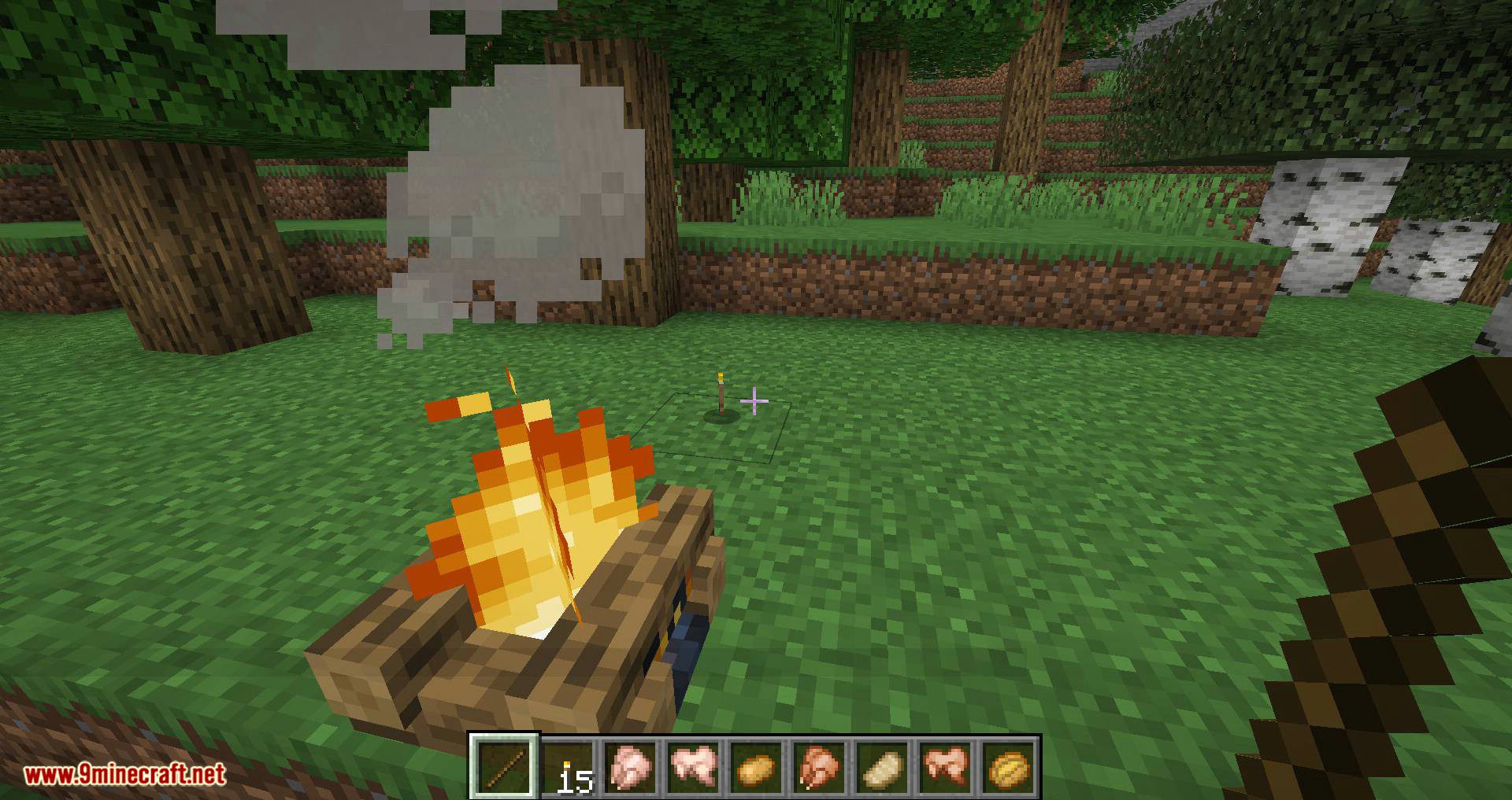 Campfire Torches mod for minecraft 09