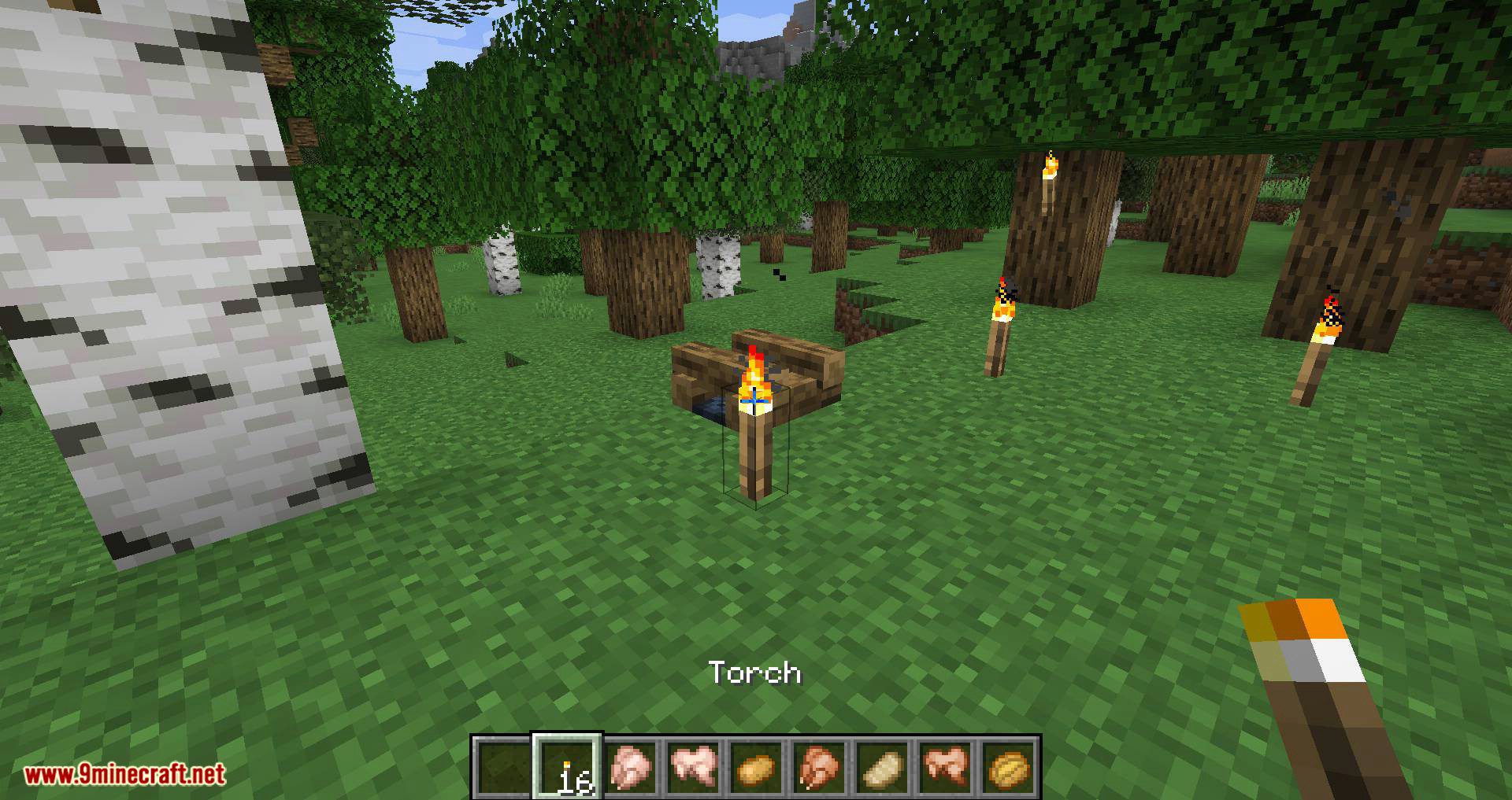 Campfire Torches mod for minecraft 10.