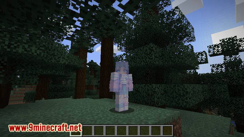 Custom Skin Loader mod for minecraft 06