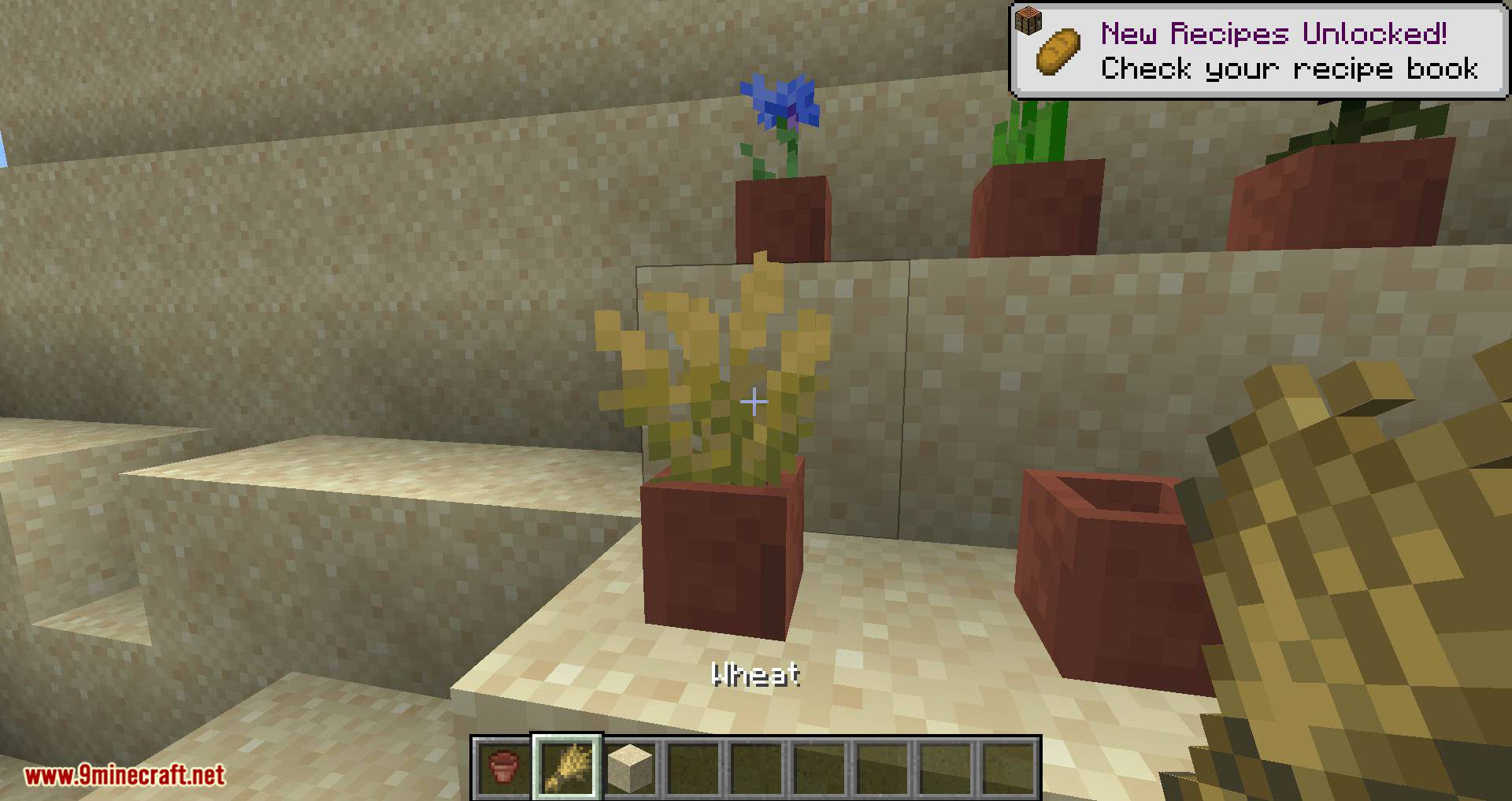 Florist mod for minecraft 03