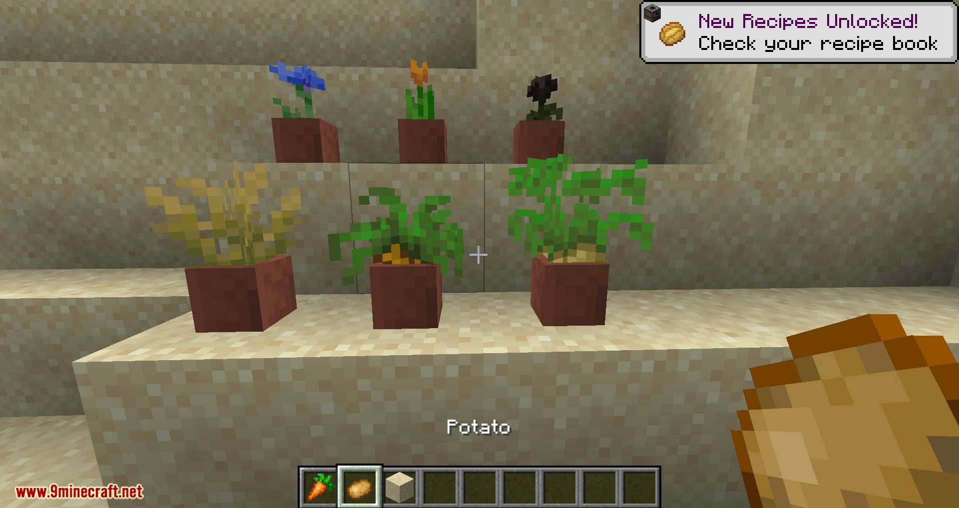 Florist mod for minecraft 04