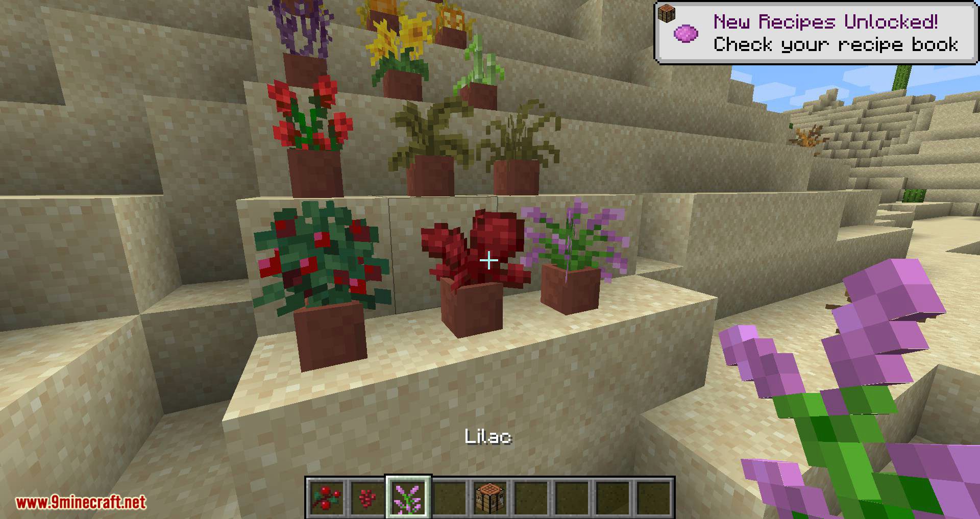 Florist mod for minecraft 08
