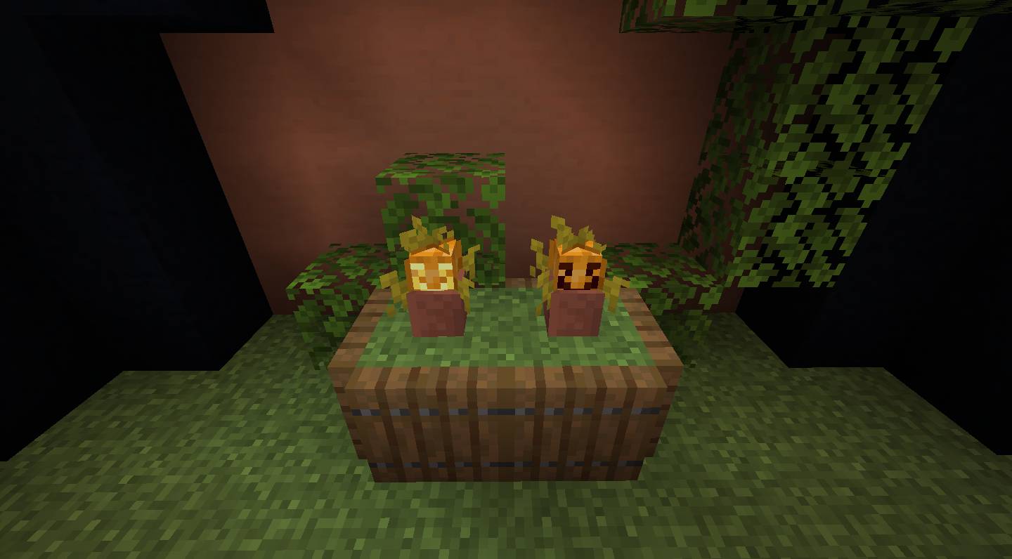 Florist mod for minecraft 22