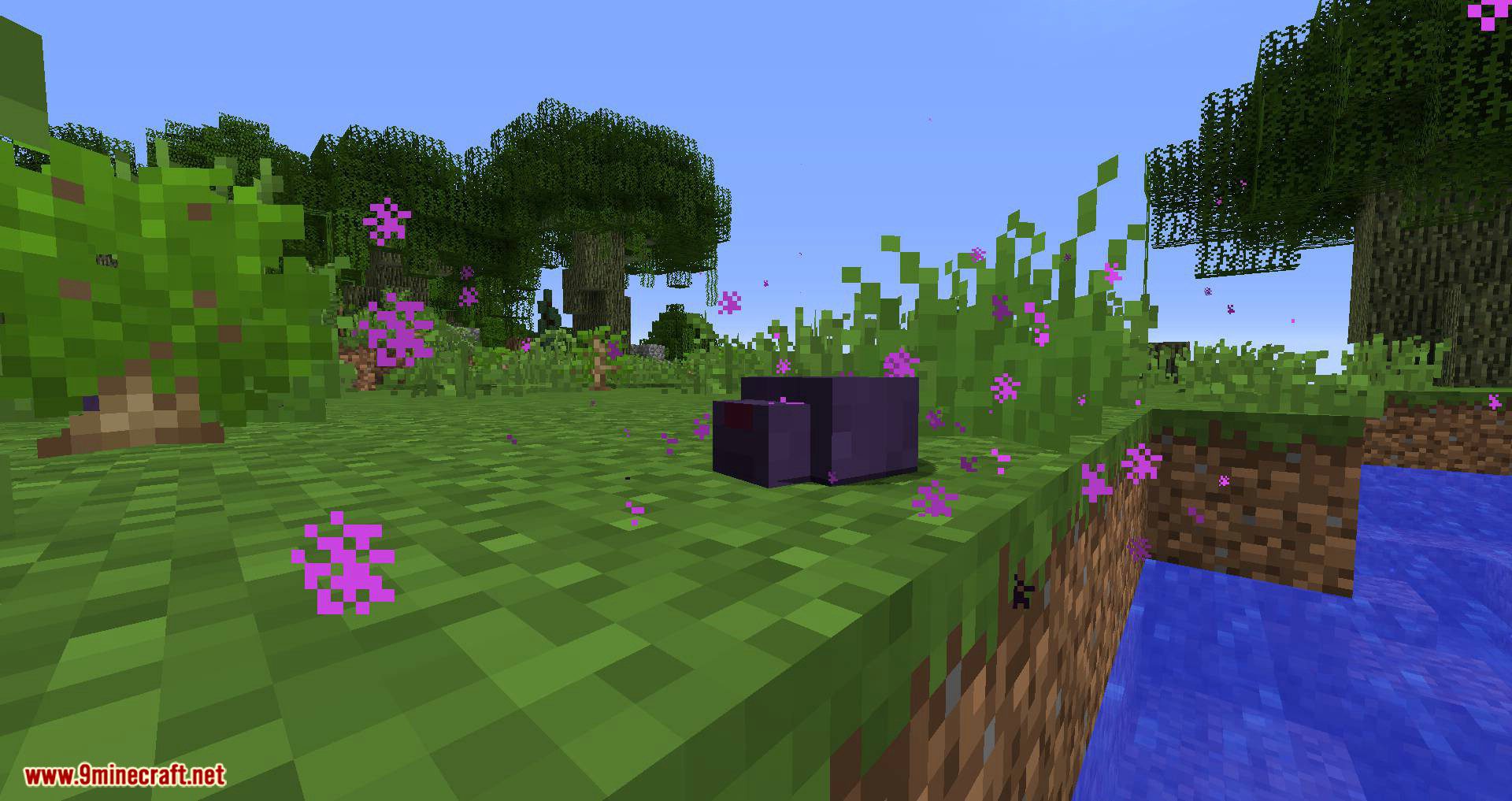 Friendly Endermite Mod (1.20.2, 1.19.3) - Friendermite, Enderman