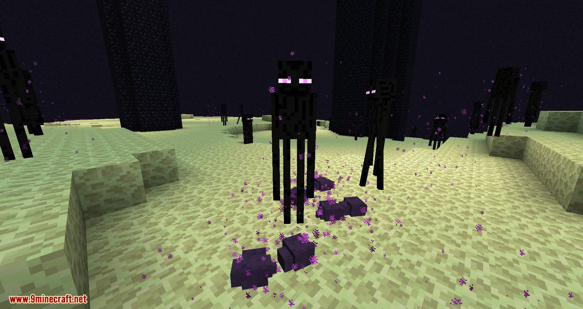 Friendly Endermite mod for minecraft 05