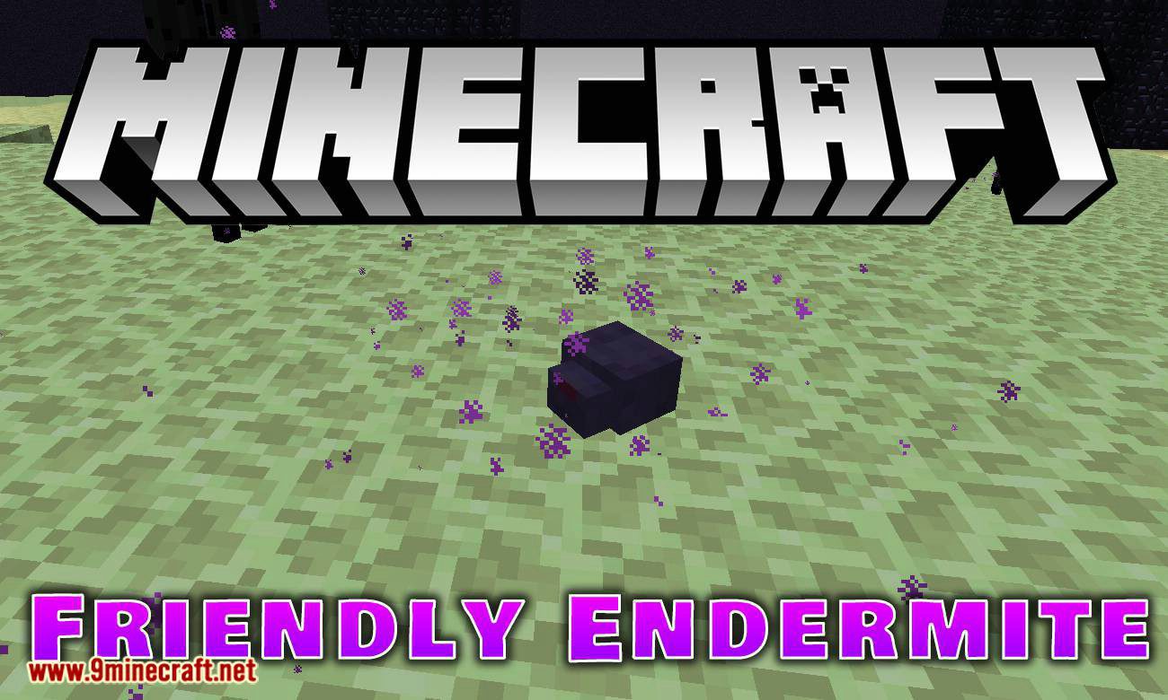 Enderman farm 1.17 endermite keeps disapearing : r/Minecraft