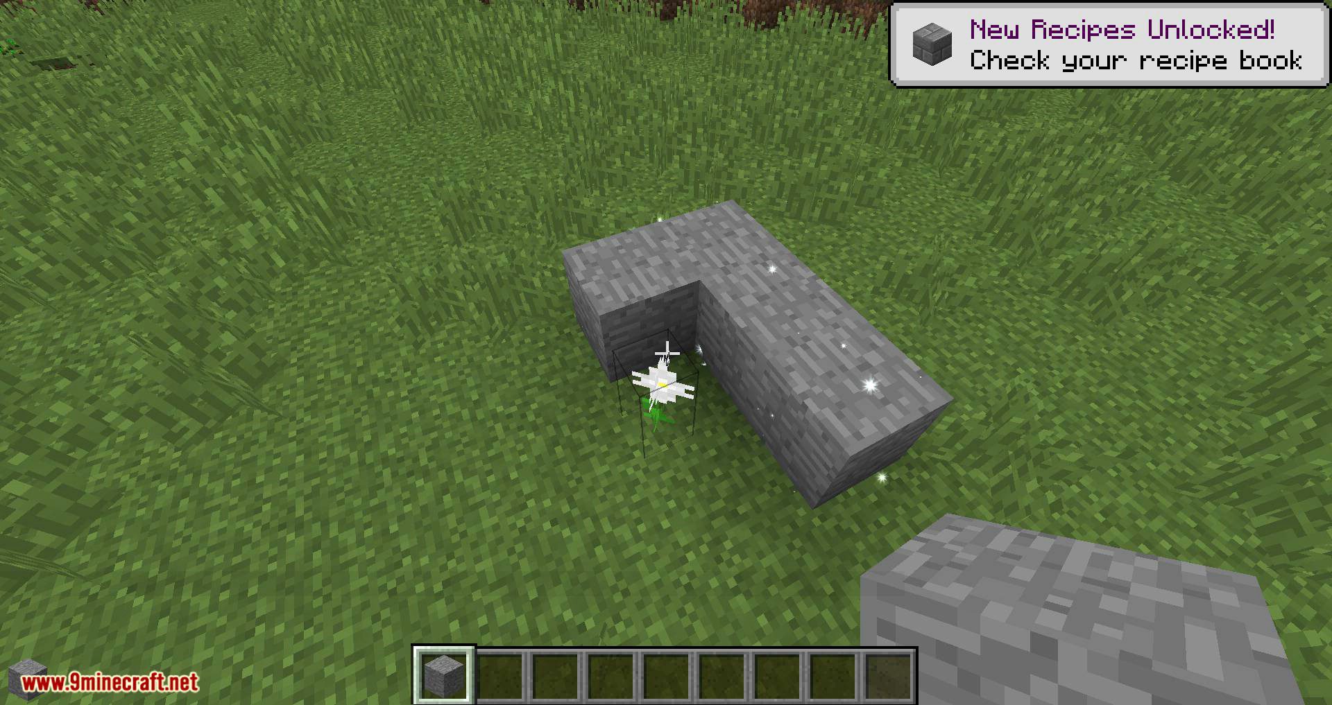 Whoops mod for minecraft 02