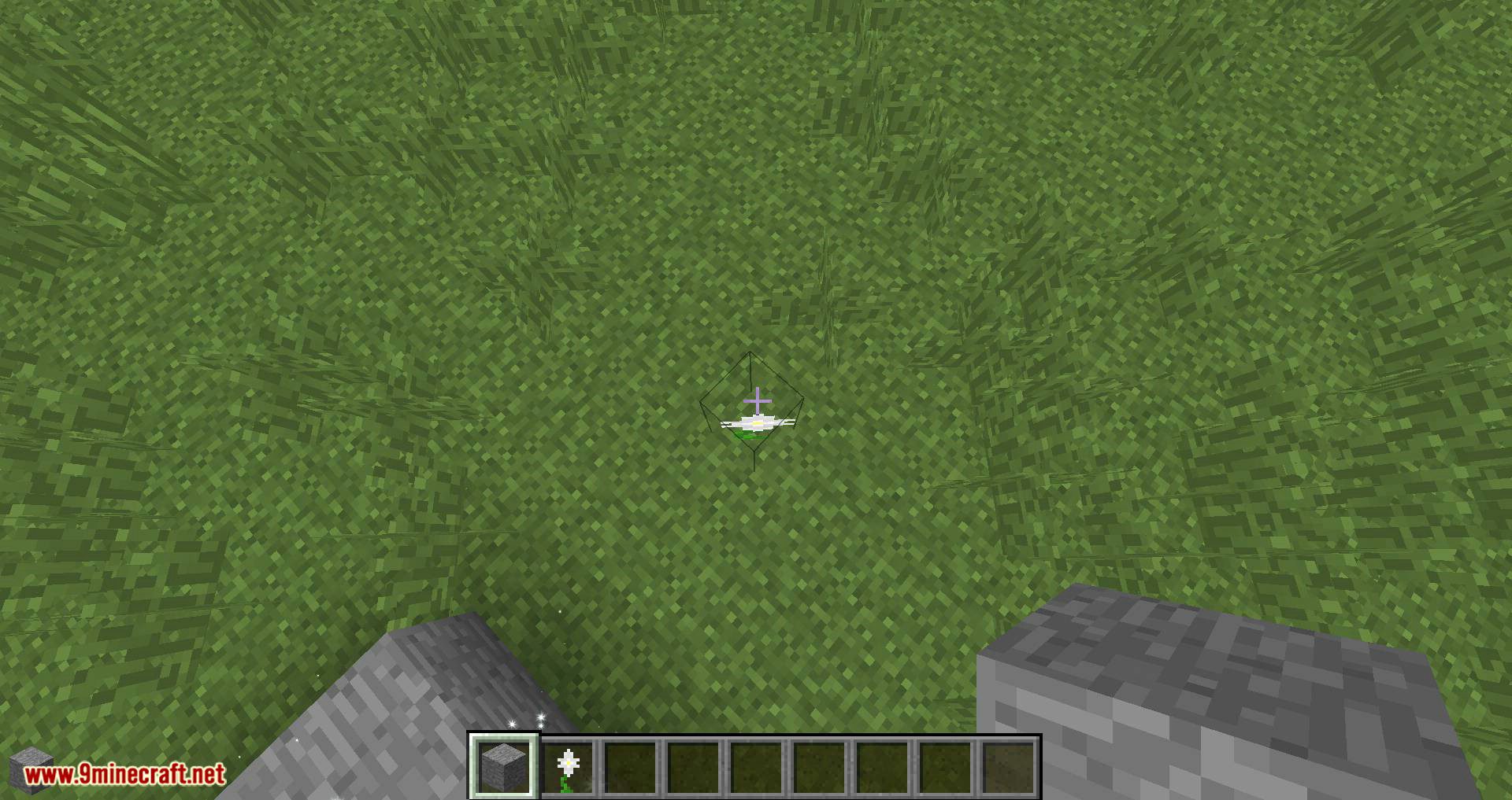 Whoops mod for minecraft 04