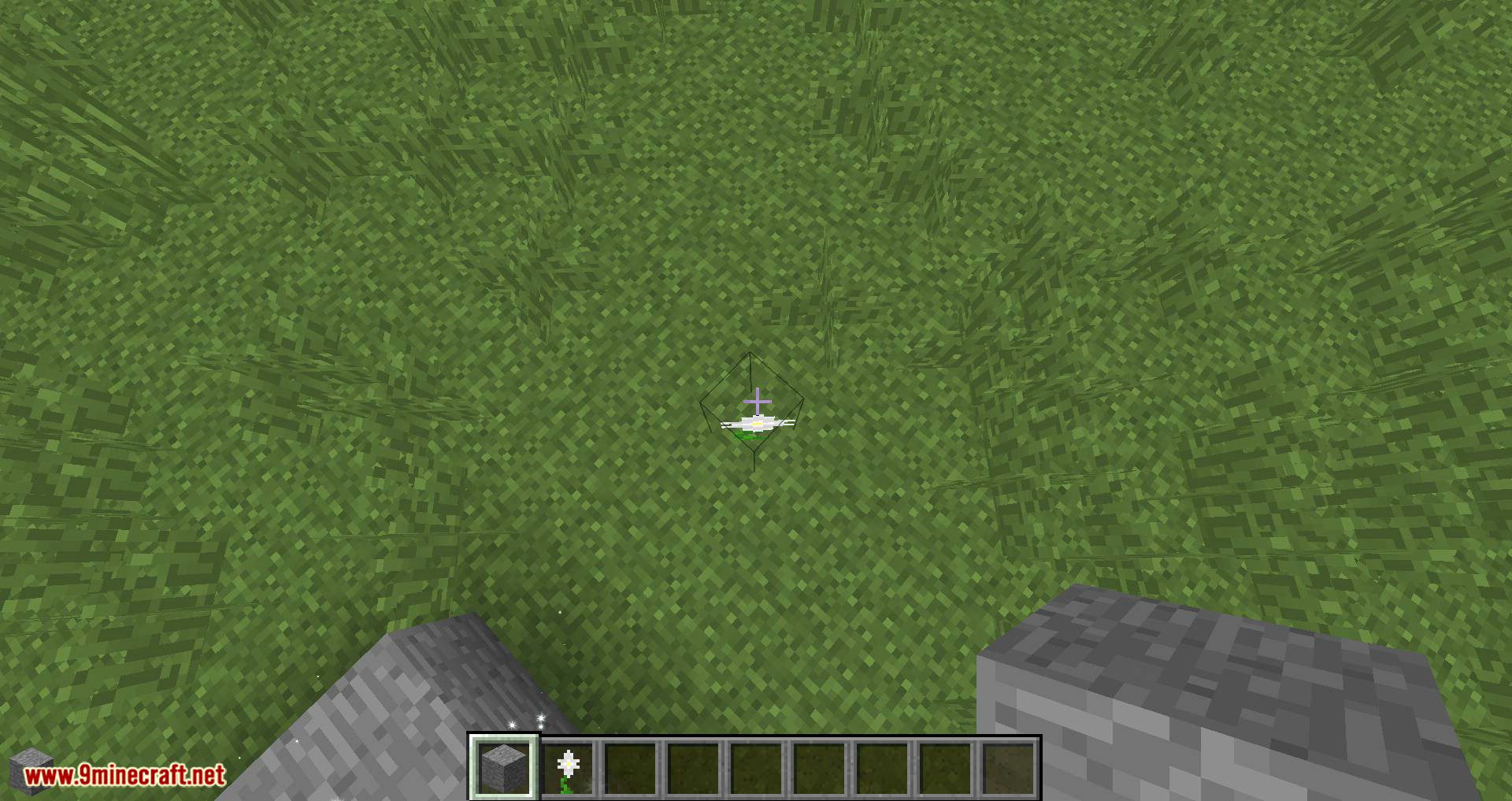 Whoops mod for minecraft 04