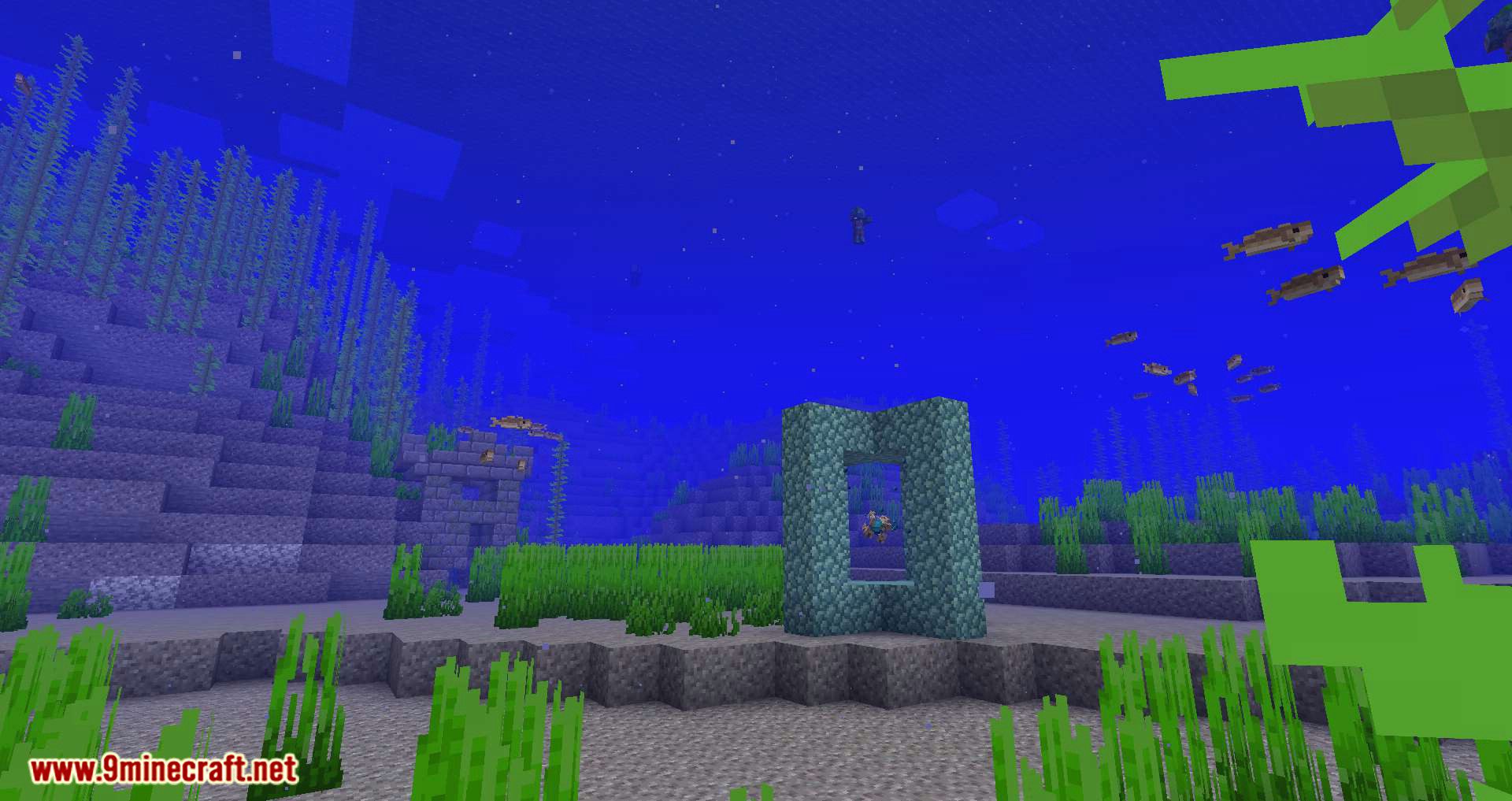 Conduits Prevent Drowned mod for minecraft 10