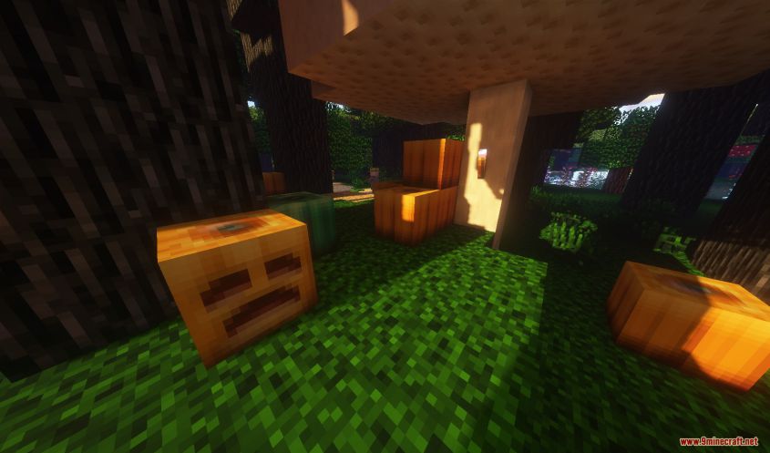 Shadow Effect Resource Pack Screenshots 1