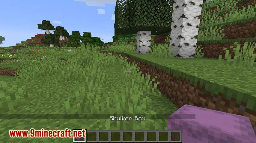 ShulkerBoxTooltip mod for minecraft 01