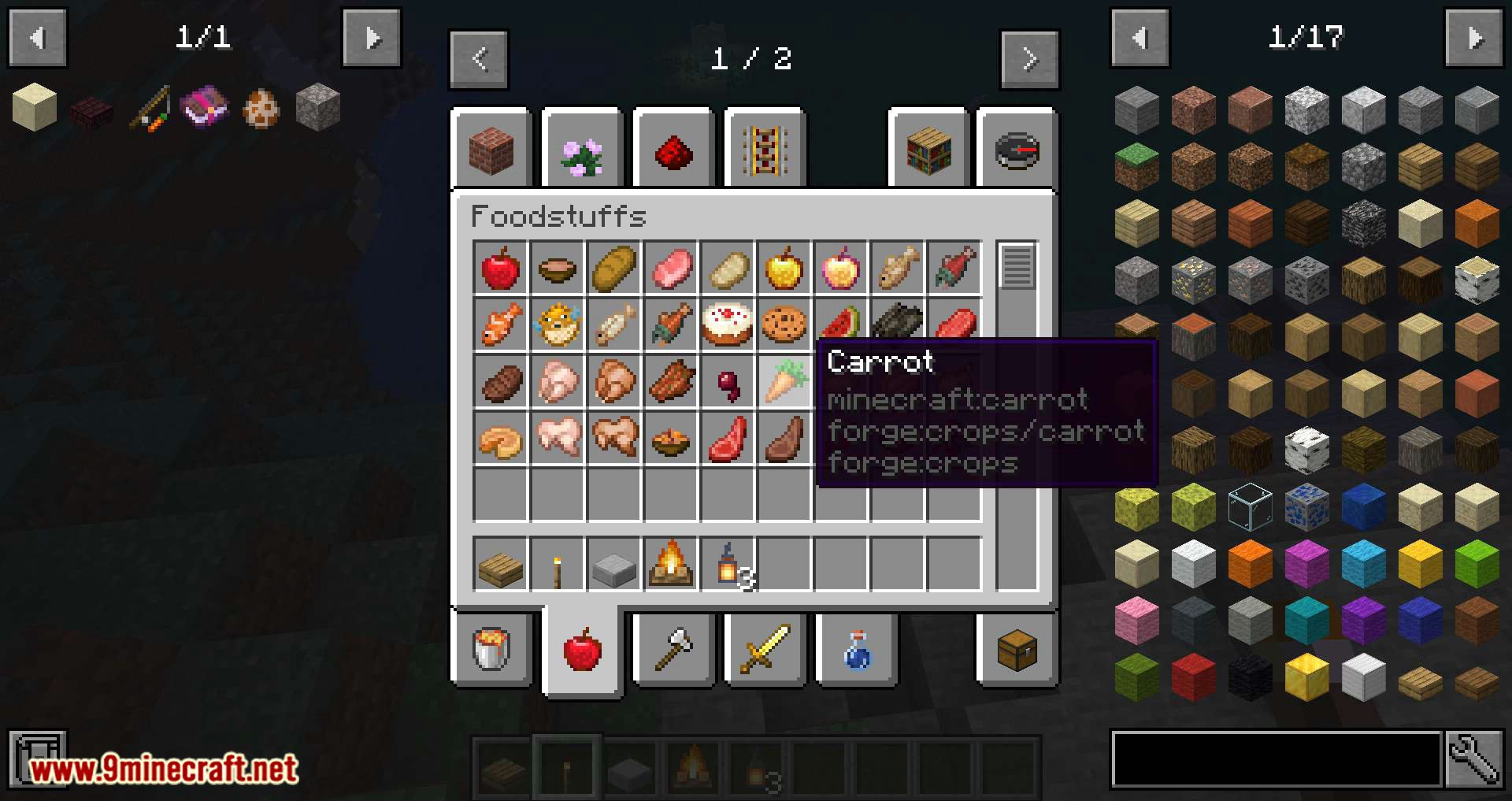 Tag Tooltip mod for minecraft 10