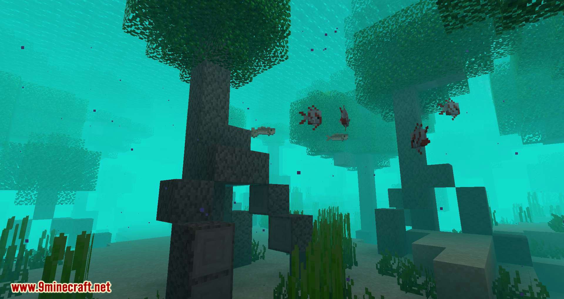 Underwater Biome mod for minecraft 02