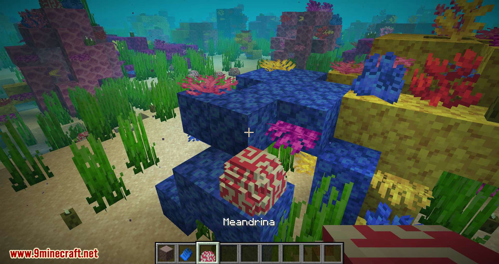 Underwater Biome mod for minecraft 04