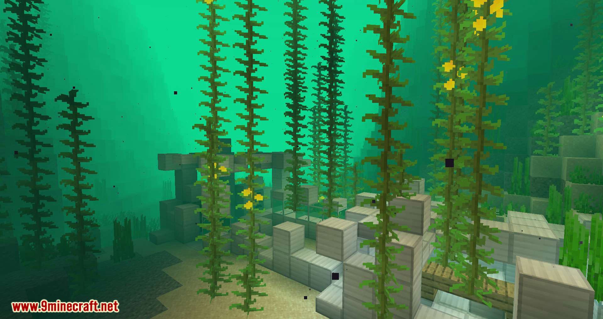 Underwater Biome mod for minecraft 10