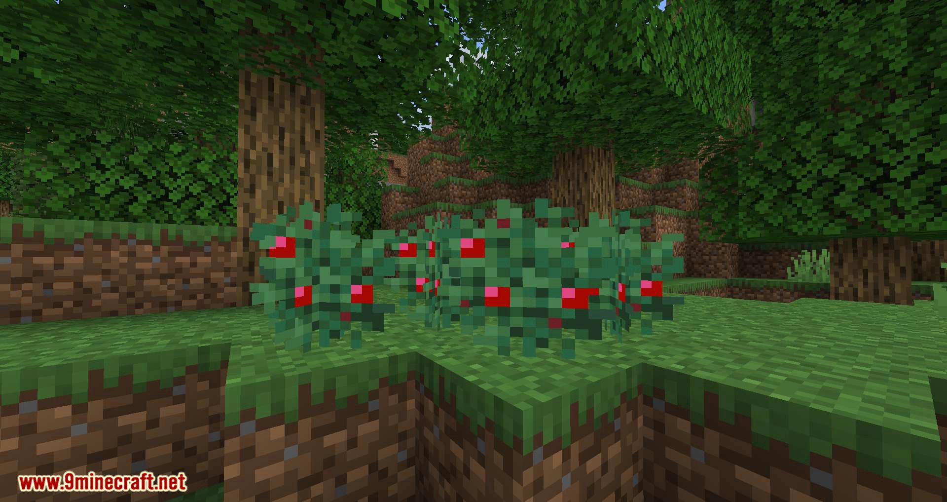 Walk Through Berries mod for minecraft 01