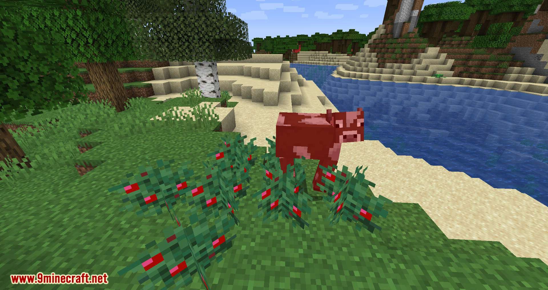 Walk Through Berries mod for minecraft 02