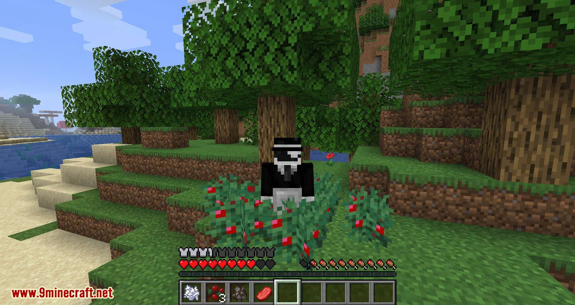 Walk Through Berries mod for minecraft 05