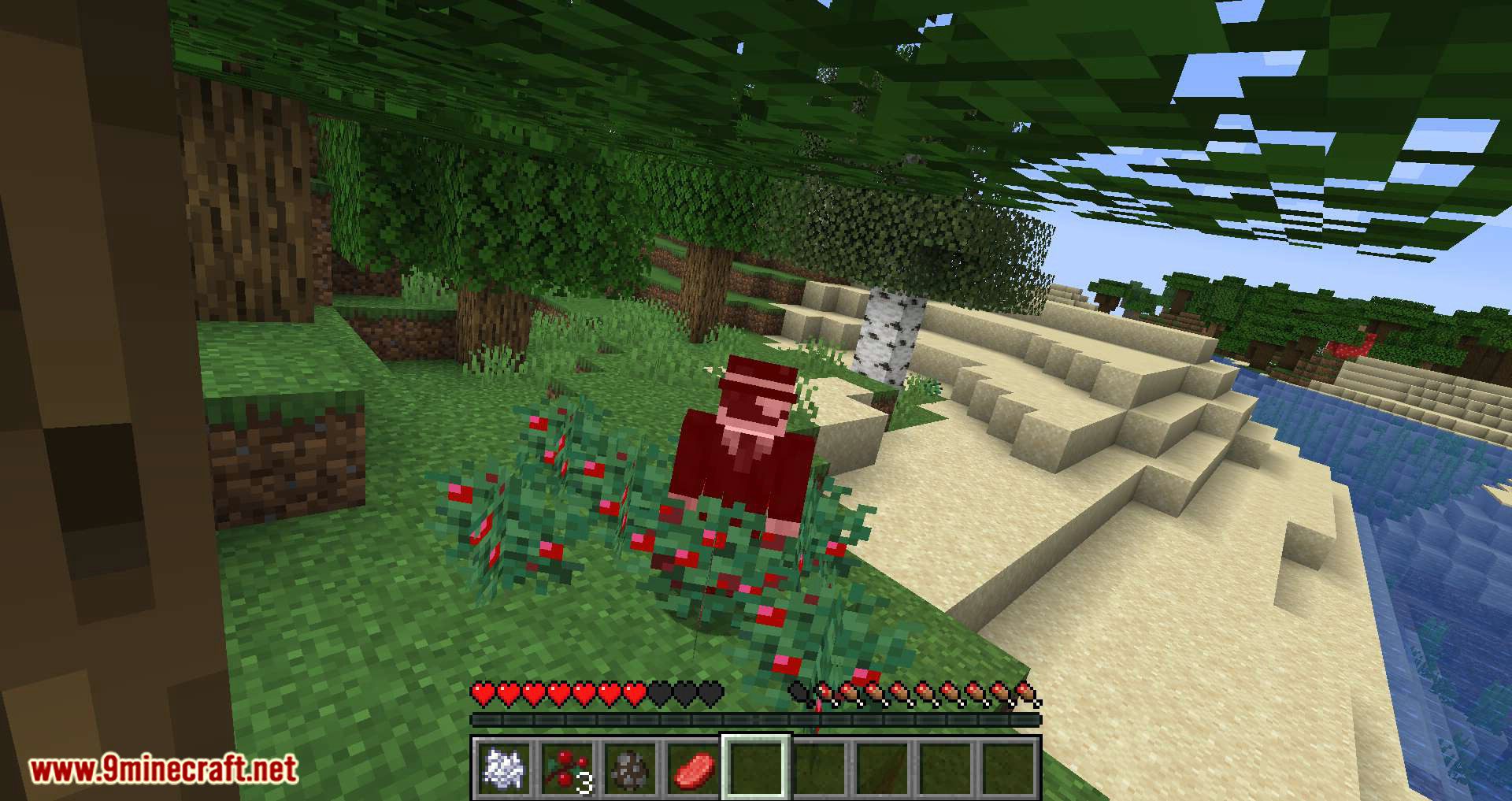 Walk Through Berries mod for minecraft 06