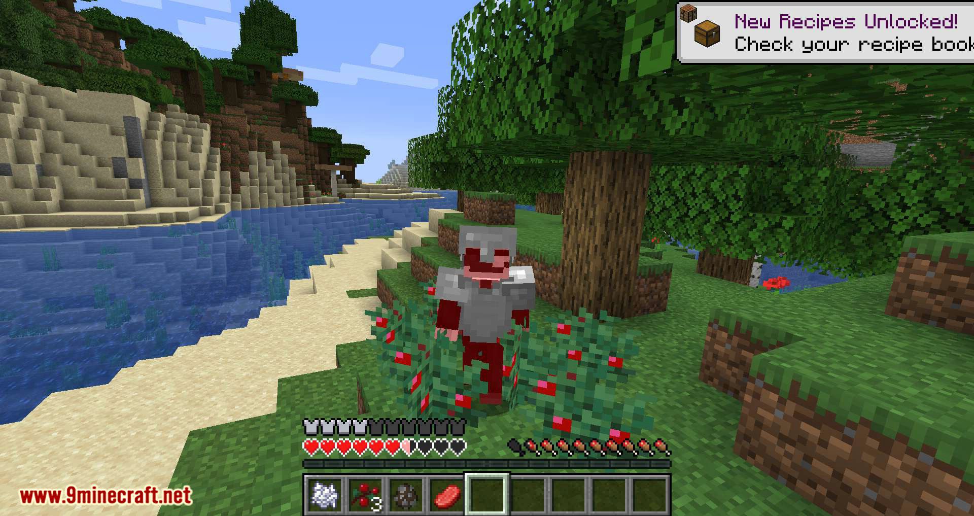 Walk Through Berries mod for minecraft 07