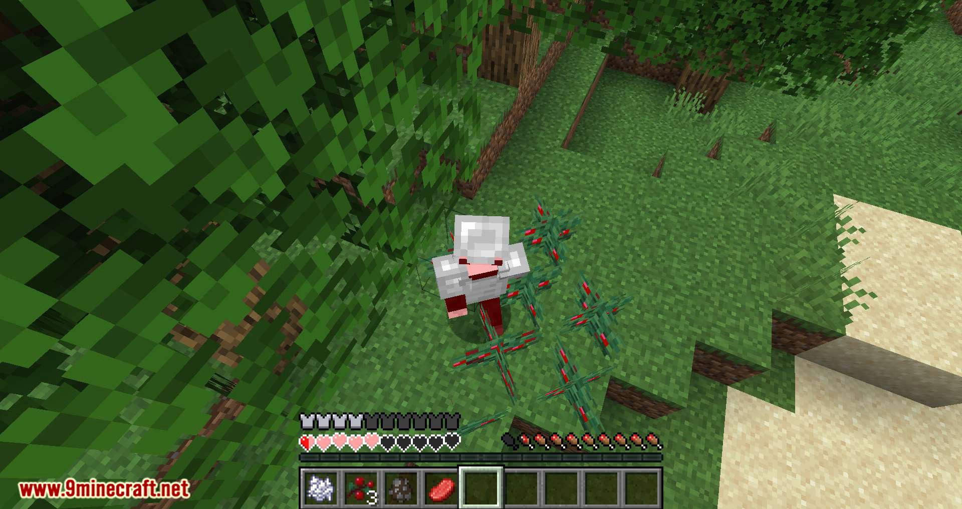 Walk Through Berries mod for minecraft 09